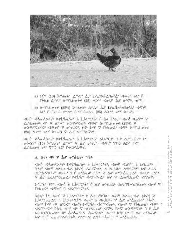 14734 CNC AR 2008_4L2 CR - page 227